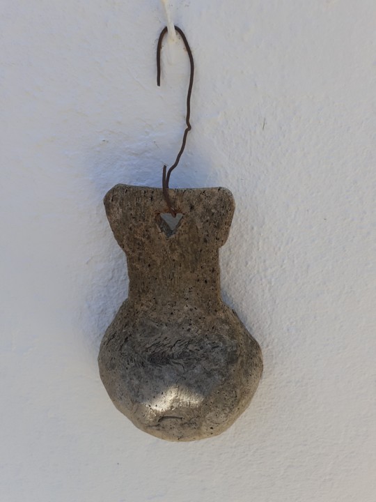 Cocho. Foto original. 2021.07.08.jpg