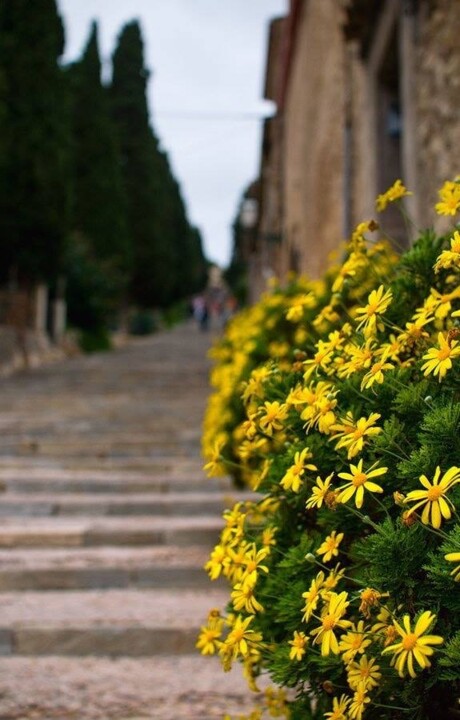 “Eu vejo meu caminho, mas não sei onde ele leva