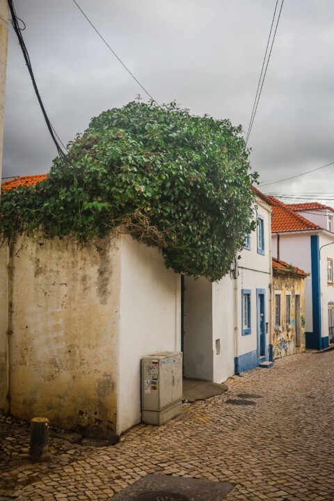 ericeira 11.jpg