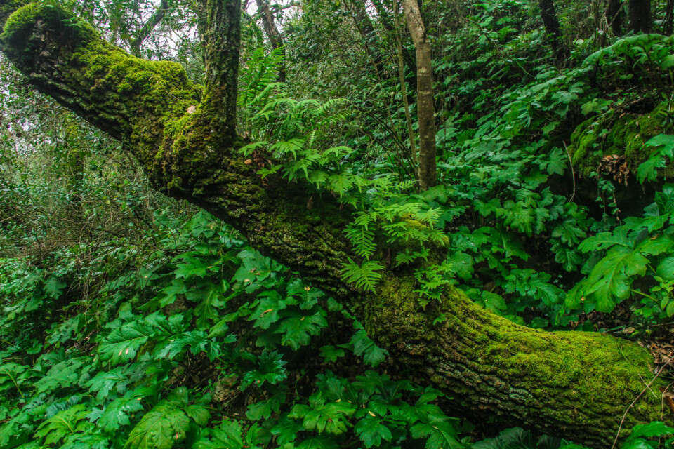 cascata do boição 6.jpg