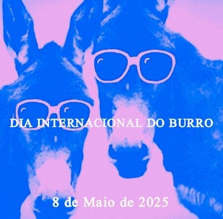 dia internacional do burro.jpg