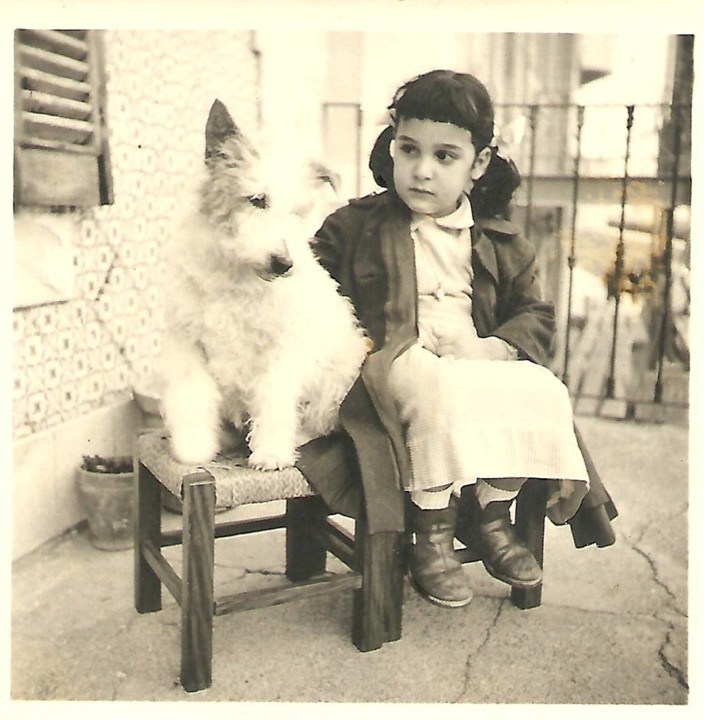 21318815_1686305758060698_5840226290405709993_o.jp 21318815_1686305758060698_5840226290405709993_o.jp