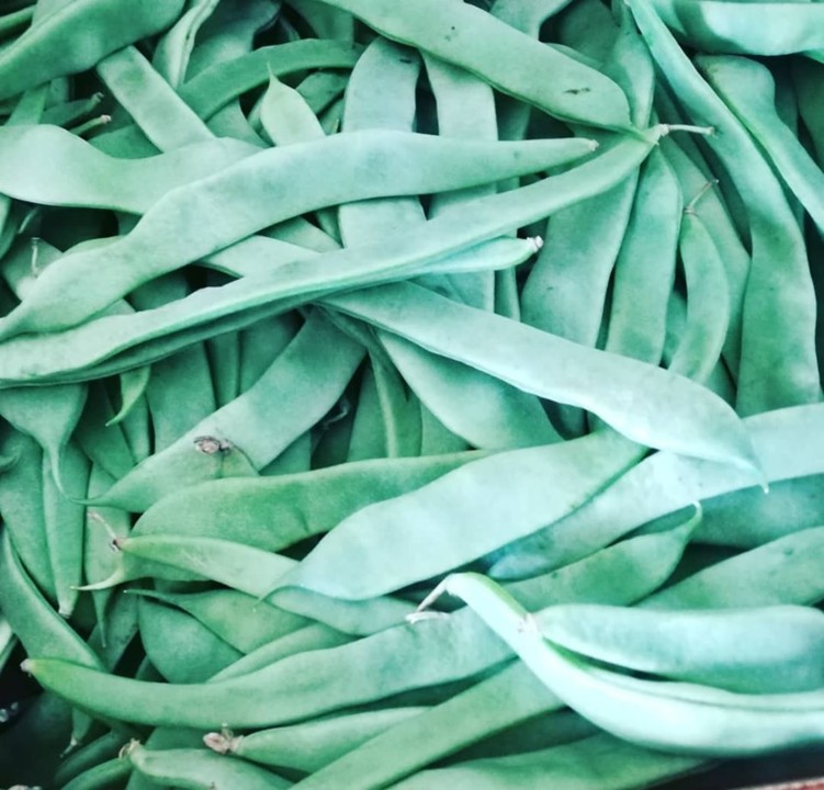 65248124_1397730103700080_4045990520047009792_n.jp 65248124_1397730103700080_4045990520047009792_n.jp