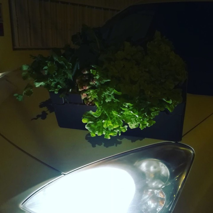 85016155_1615740505232371_5652960230426804224_o.jp