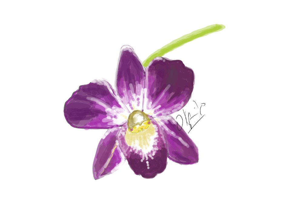 orquidea lilas4_LI.jpg orquidea lilas4_LI.jpg