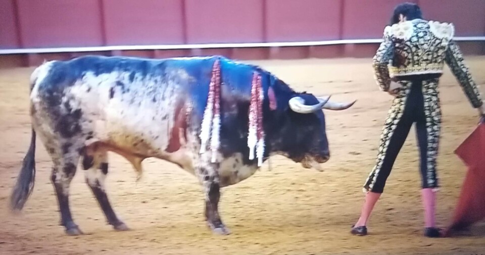 Roca Rey. 28.04.2023-Sevilha.jpg