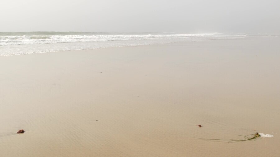 praia-enevoada-de-areia-encinitas-california-eua-c