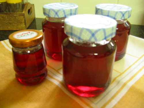 2297065_EeEfM.jpeg 2297065_EeEfM.jpeg