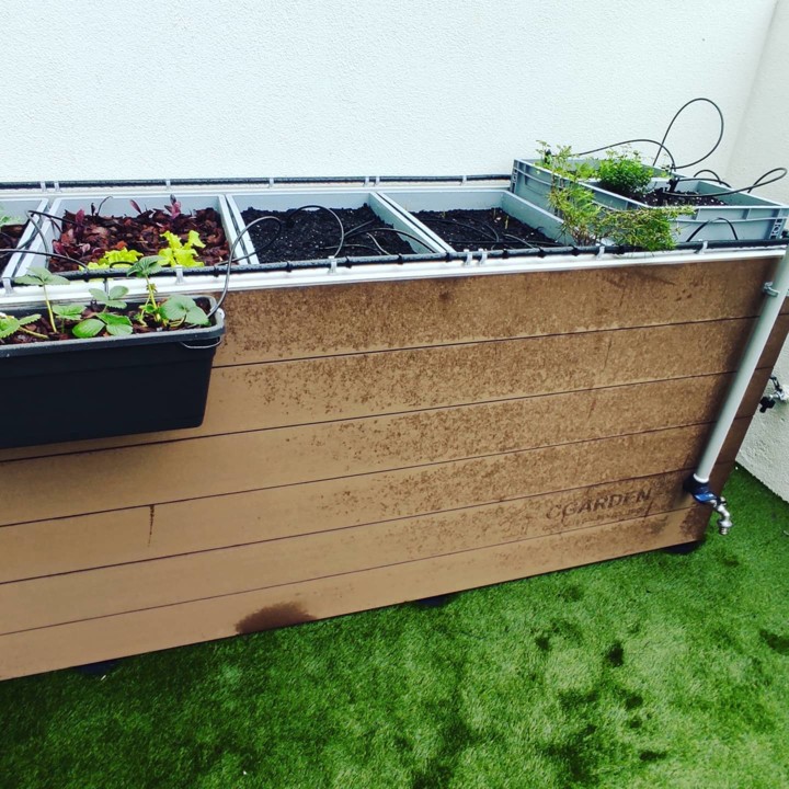 141793153_1933265030146582_5063470231230855175_o.j