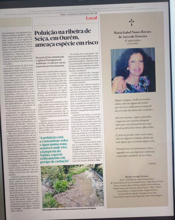 Público bdteca 2.jpg