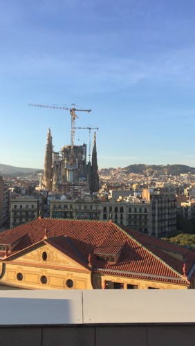 IMG-1652.JPG IMG-1652.JPG