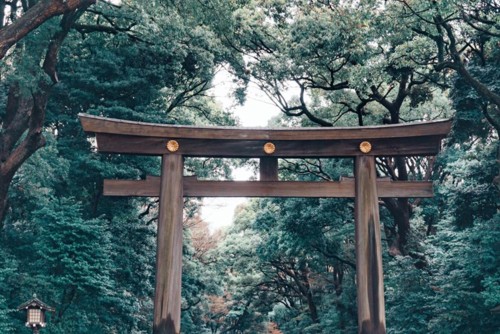 29497728_10216071286325014_2430674156163213545_n.j