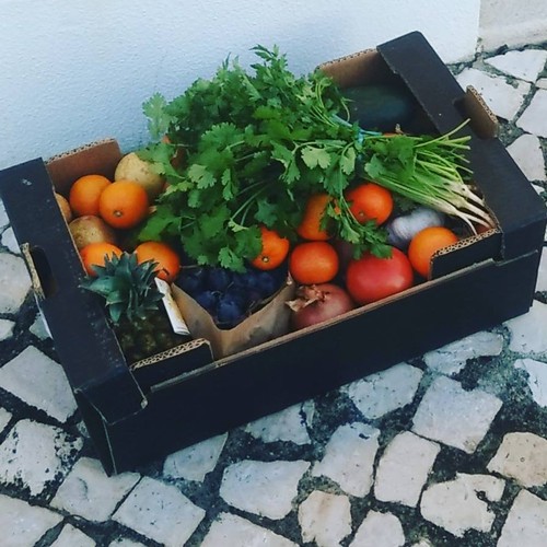 14725617_774459449360485_422282304710012228_n.jpg 14725617_774459449360485_422282304710012228_n.jpg