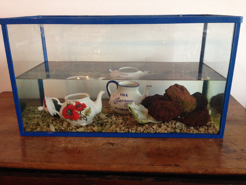 IMG_8529.jpg IMG_8529.jpg