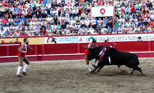 4Toiro Luis Cunha.jpg