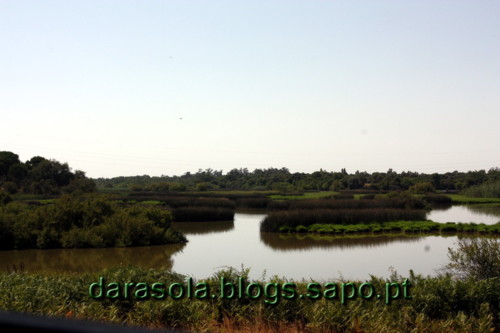 Donana_B_10.JPG Donana_B_10.JPG