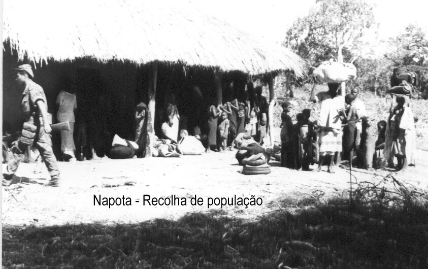 Napota - Recolha de população.jpg