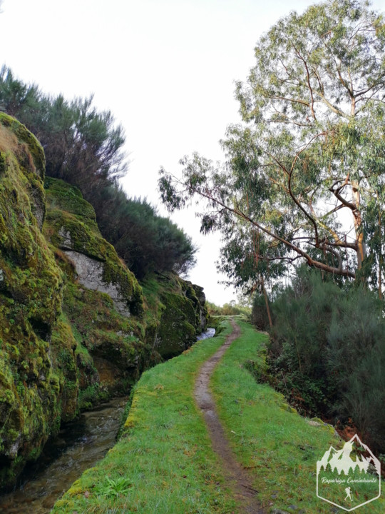 Photo_1582917557232.jpg Photo_1582917557232.jpg