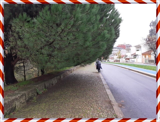 12a_Caminhada_a_dois (13).jpg
