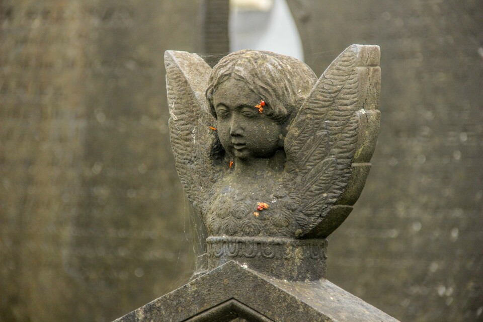 cemiterio de glasnevin 63.jpg