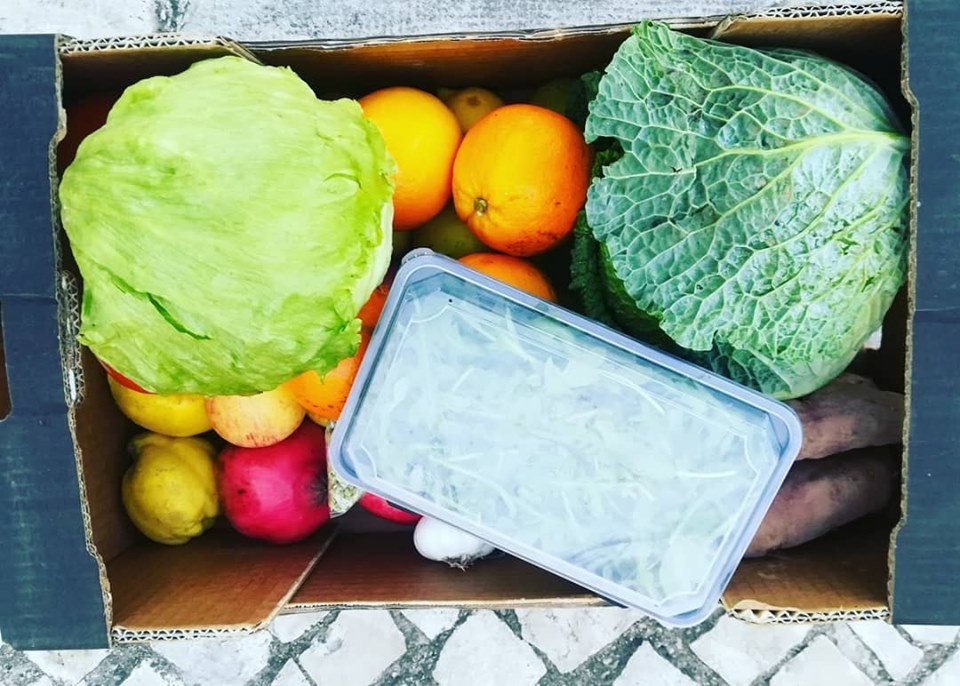 72460527_1485627944910295_892525226657579008_n.jpg 72460527_1485627944910295_892525226657579008_n.jpg