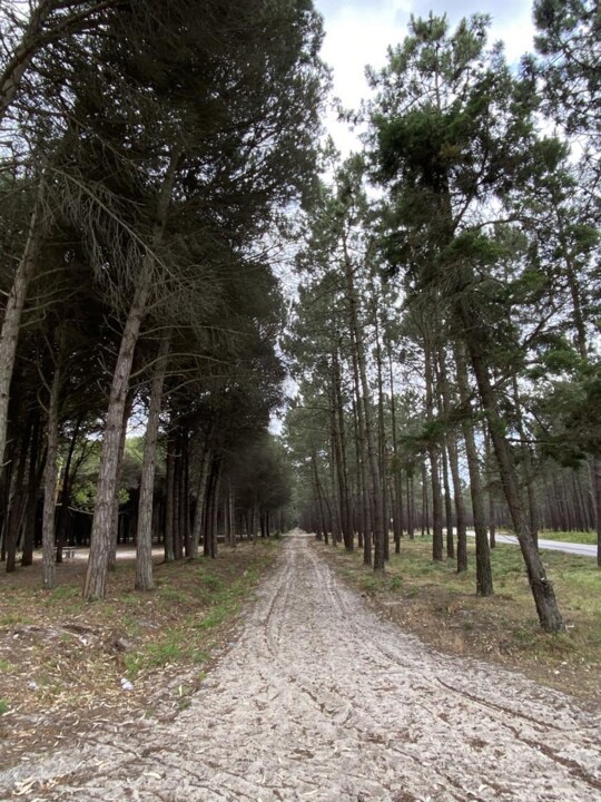 350172730_1174655106537550_7949160098711947623_n.j