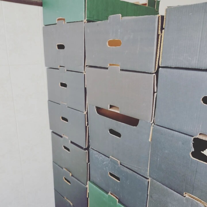 325928118_534485178645373_4830626202619616029_n.jp