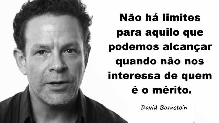 David Bornstein - Mérito.jpg