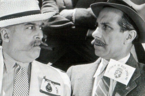 leão da estrela.jpg