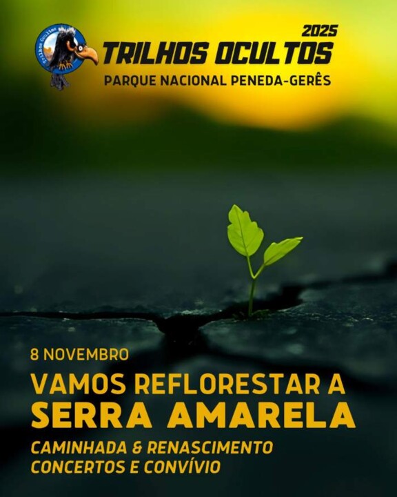 546016286_1394723962660954_3705470396578676290_n.j