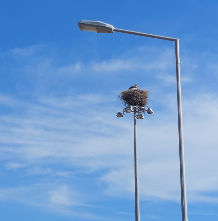 20210628_180440 (2).jpg