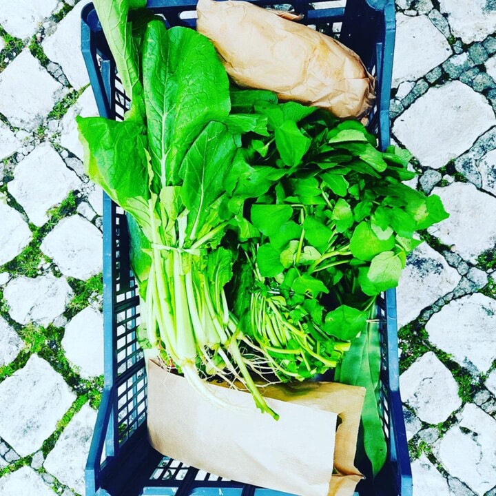 469989732_977642061059871_3347088793314111962_n.jp