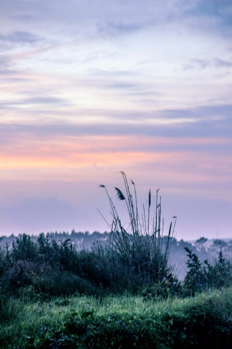 lagoa de obidos 10.jpg
