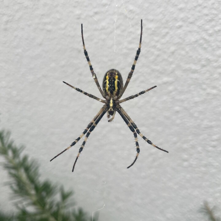 566784398_18529256215040244_4932299596641324365_n.