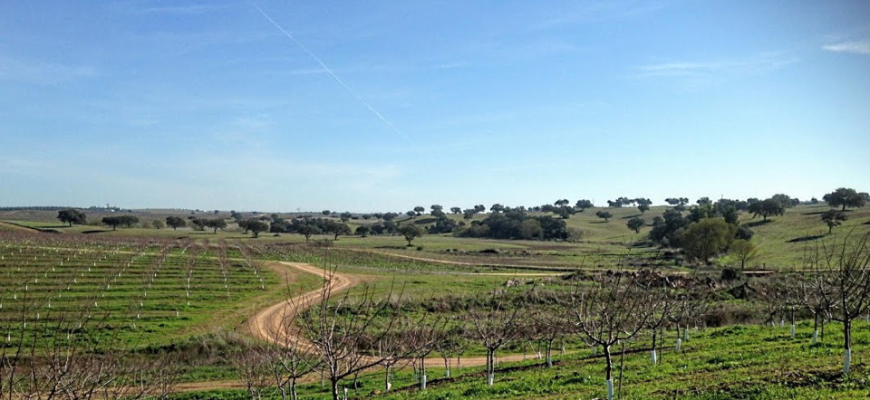 IMG_1768.JPG IMG_1768.JPG