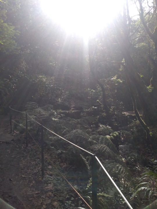 IMG_20200228_153424.jpg IMG_20200228_153424.jpg