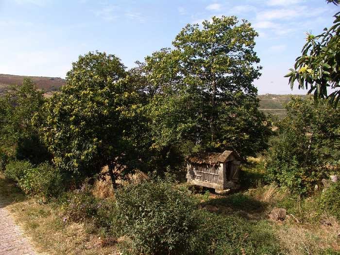 308 - 4 canast cavaleiro alvo.jpg