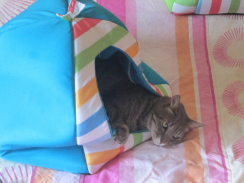 IMG_6068.JPG IMG_6068.JPG