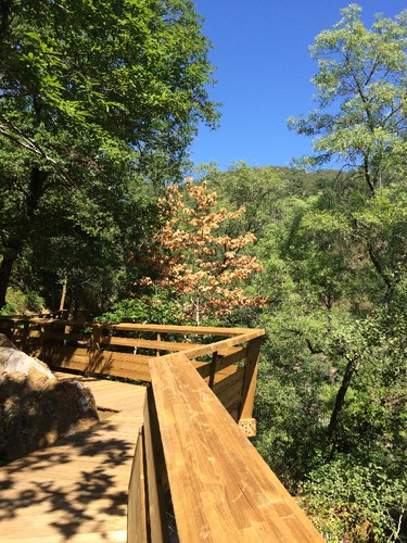 IMG_8596.JPG IMG_8596.JPG