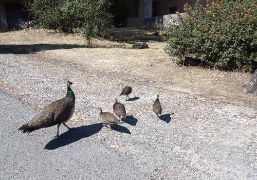 IMG_20160701_164519 (2).jpg