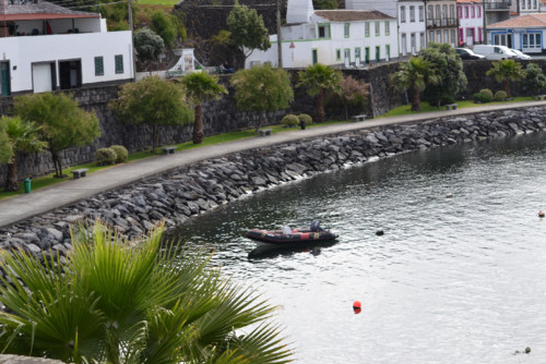 49CB6ED8-415C-4273-B9B6-9F6FB529F518.jpeg 49CB6ED8-415C-4273-B9B6-9F6FB529F518.jpeg