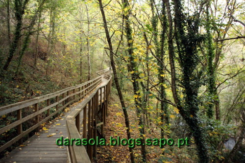 Passarelas_Rio_Mao_18.JPG Passarelas_Rio_Mao_18.JPG