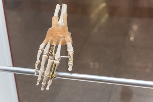 Joalharia Medicamente Prescrita - Olga Noronha © 