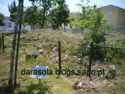 caminho_romano_arouca_18.JPG caminho_romano_arouca_18.JPG