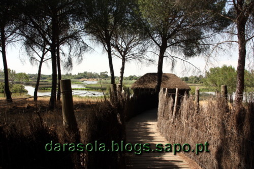 Donana_B_09.JPG Donana_B_09.JPG