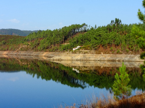 DSC05696.JPG DSC05696.JPG