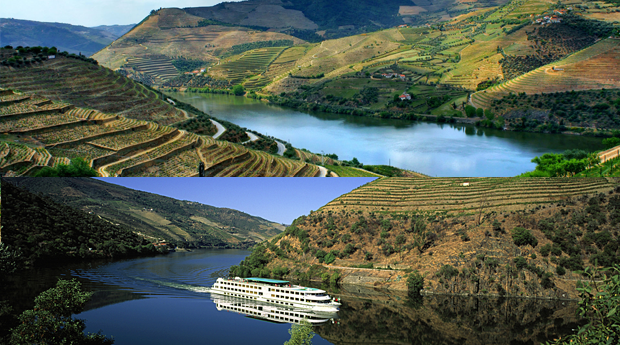 59084c042011921f7a9f8c4841edb486.png 59084c042011921f7a9f8c4841edb486.png