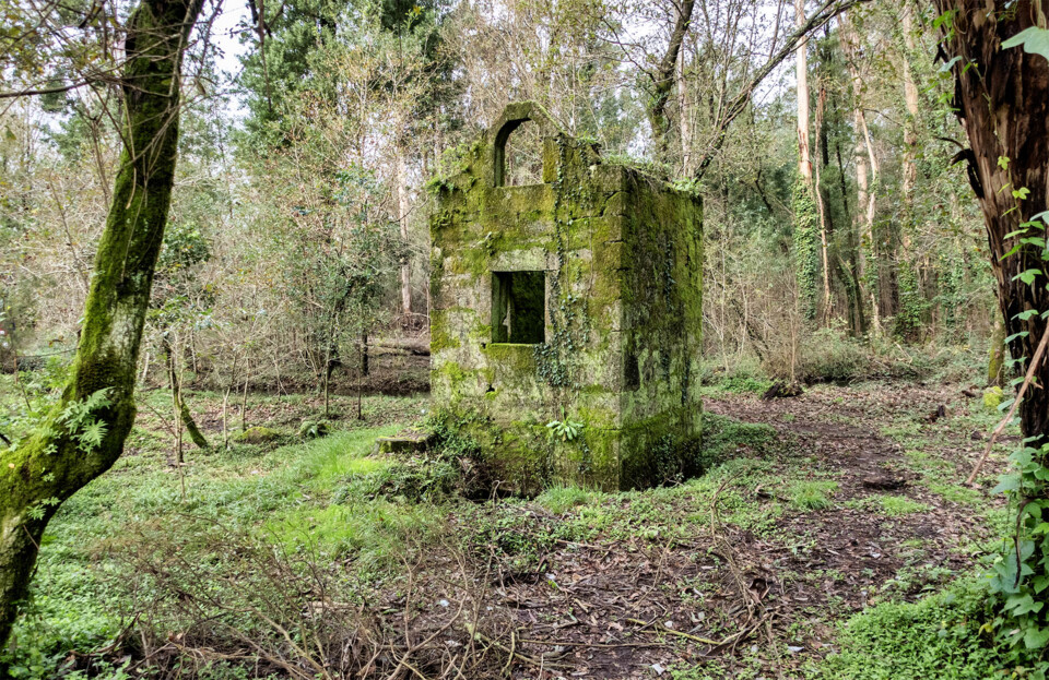 Ruina lagoas bertiando.jpg