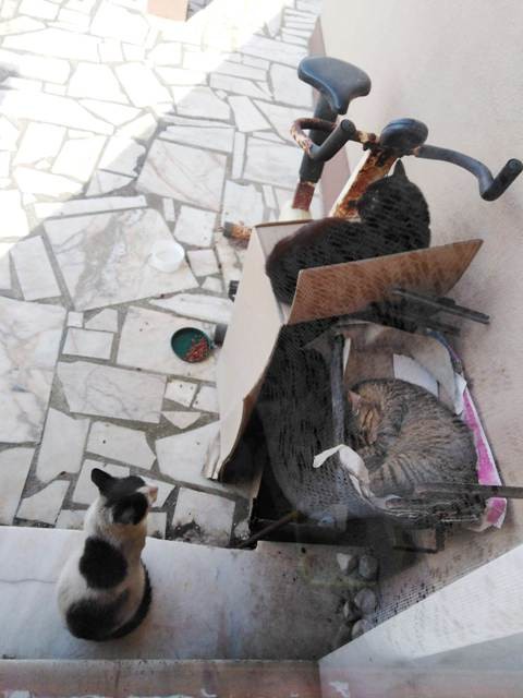 180588277_3860580714057205_5665473102410439938_n.j