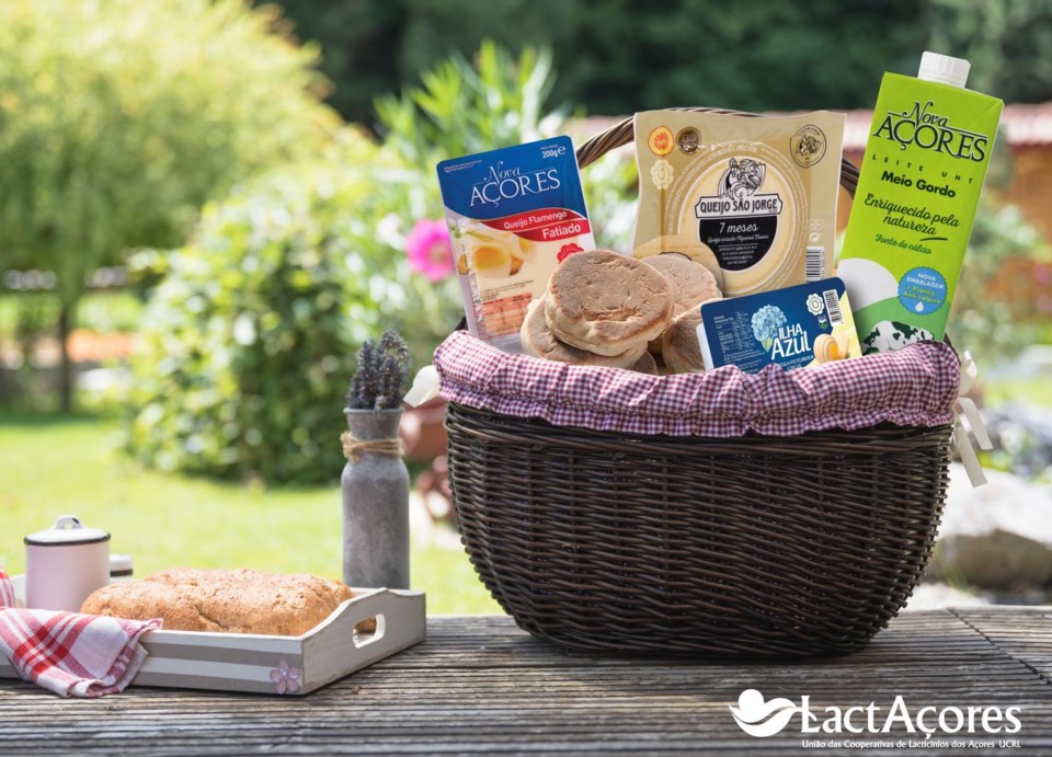 54436971_2346446775368590_5949097680025157632_o.jp